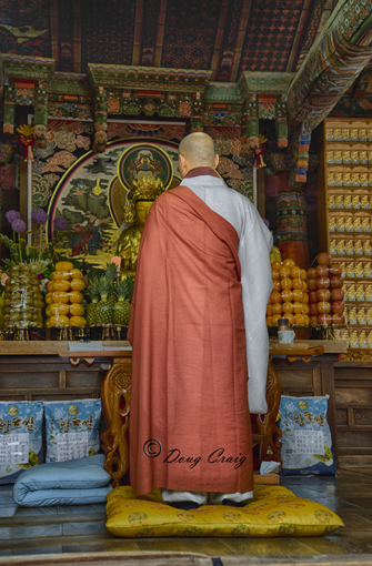 Buddha's Birthday Monk