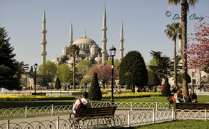 The Blue Mosque - Photo #1