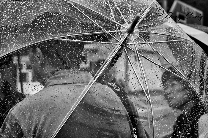 Rainy Day Photography (Plate 2)
