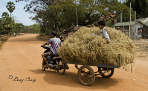 Loaded With Hay