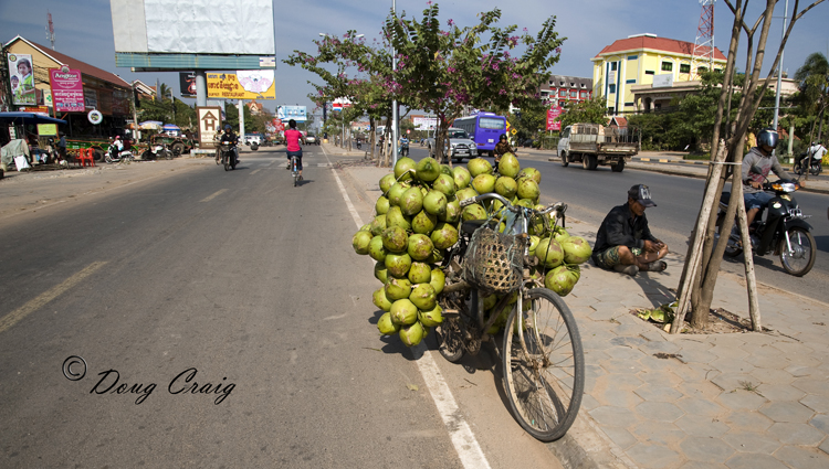 Siem Reap #1