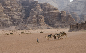 Trekking Across Wadi Rum