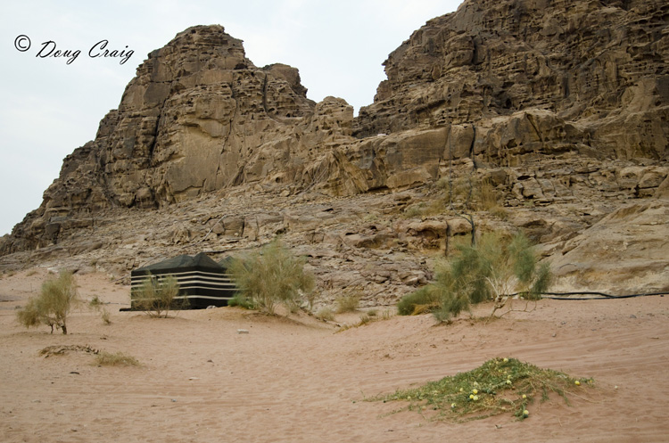 Wadi Rum Scene #3