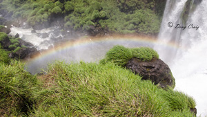 Another Iguazu Rainbow