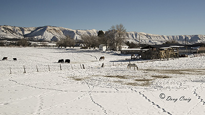 Scenic Colorado #7